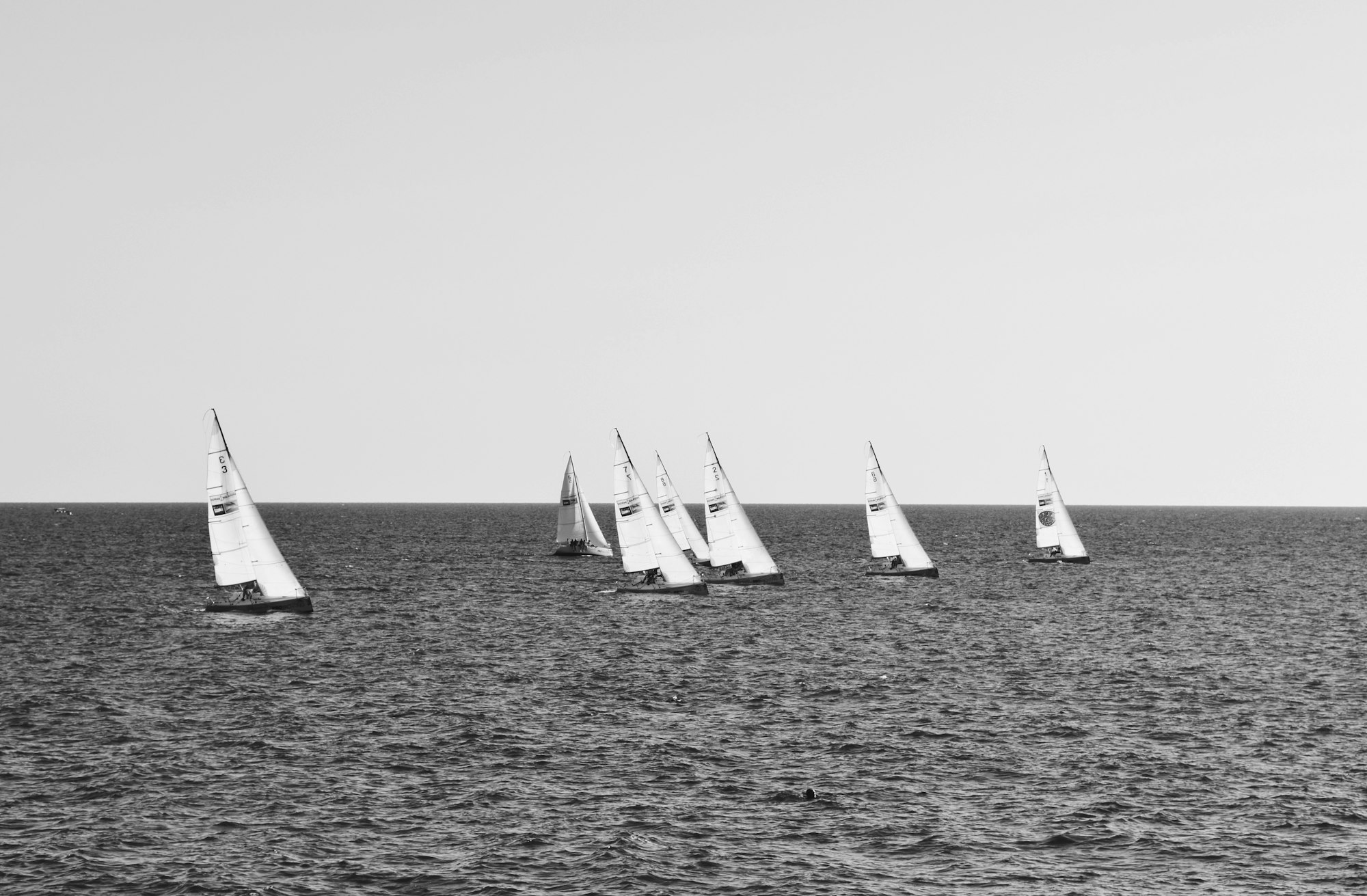 A fleet of sailboats racing on a calm dark sea, seen from a distance